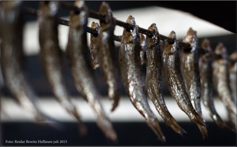 Vi fikk smake så mye brisling vi ville. Barna gikk helt berserk. Dette smakte deilig og sunt er det også. 