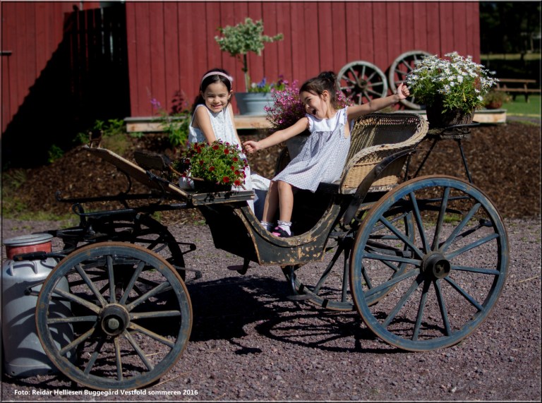 Barnene stor trivdes på bondeårdbesøk. Her fikk de klappe dyr, mate dyr og leke .